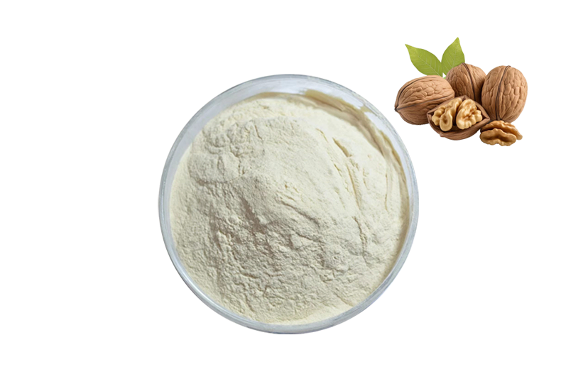 Walnut Peptide